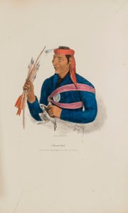 A Miami Chief, from The Aboriginal Portfolio