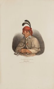 NA-SHE-MUNG-GA, A Miami Chief, from The Aboriginal Portfolio