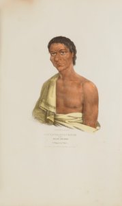 O-HYA-WA-NIM-CE-KEE or the Yellow Thunder; A Chippeway Chief, from The Aboriginal Portfolio
