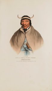 SUN-A-GET or Hard Times; A Pottawatomie Chief, from The Aboriginal Portfolio