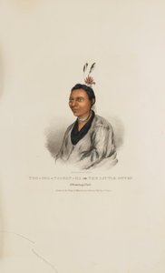 TOO-SHA-NA-GAN-KA or The Little Otter; A Winnebago Chief, from The Aboriginal Portfolio