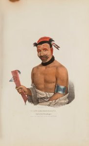 WADT-HE-DOO-KAANA; Chief of the Winnebagoes, from The Aboriginal Portfolio