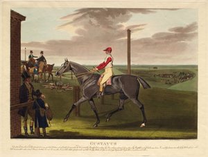 Gustavus by James Pollard
