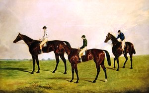 Racehorses Jockeys Up