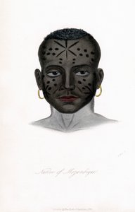 Native of Mozambique by James Prichard