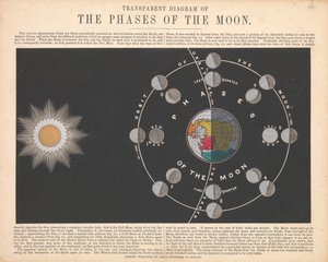 The phases of the moon