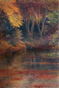 The Silent Pool