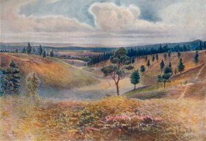 View from Beacon Hill, Hindhead, 1911 by James S Ogilvy