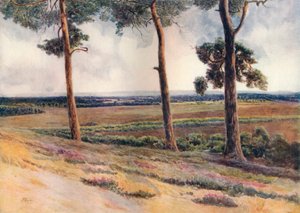 View from Staple Hill by James S Ogilvy