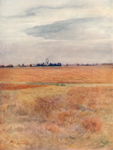 Wimbledon Common, 1912-1914