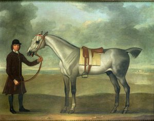 Unknown Image