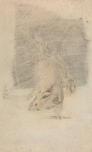 A Mouse by James Sowerby