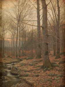 Winter in the Woods, Betws-y-Coed