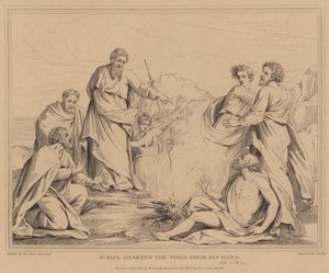 St Paul Shaketh the Viper from His Hand, Acts