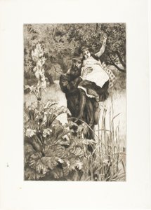 The Widower