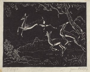 Flight