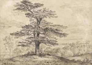 A Cedar on a Rise with a Herd of Deer Grouped Beneath its Shade by James Ward