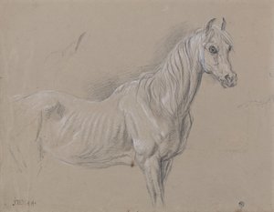 A Mare by James Ward