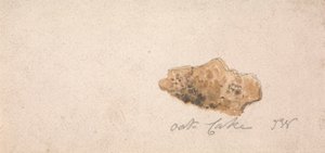 An Oat Cake by James Ward