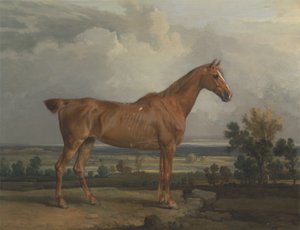 Hunter in a Landscape