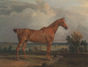 Hunter in a Landscape