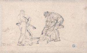 Sheep-Shearing
