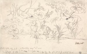 Studies of Plants, August 2, 1815