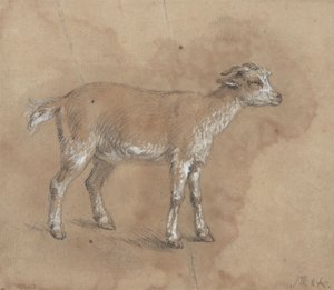 Study of a Kid by James Ward