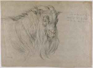 Study of the Head of a Ram by James Ward