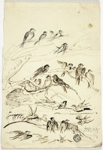 Swallows Before They Take Their Departure by James Ward