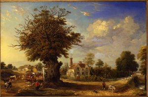 The Yeldham Oak at Great Yeldham, Essex