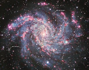 NGC 6946 by James Webb Space Telescope (NASA)