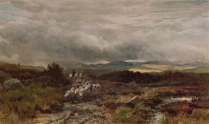 Mountain Road, Capel Curig, North Wales
