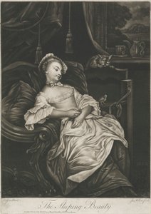 The Sleeping Beauty by James Wilson