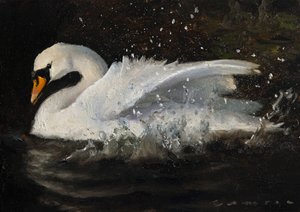 Dancing Swan by James Zamora