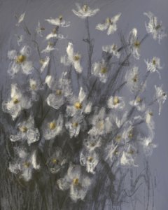 Dreamy White Flowers by James Zamora