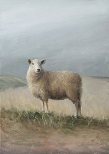 Pastoral Sheep by James Zamora