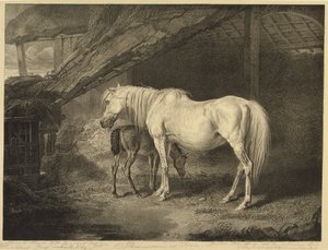 Primrose and Foal, from Celebrated Horses, a set of fourteen racing prints published by the artist, 1823-24