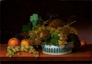 Still Life