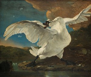 The Threatened Swan (Interpreted later as an Allegory on Johan de Witt) by Jan Asselijn