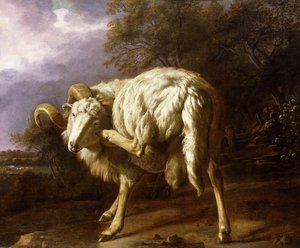 A Ram in a Wooded Landscape