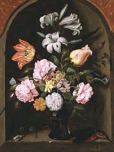 Unknown Image