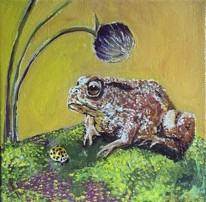 Toad by Jan Barzottini