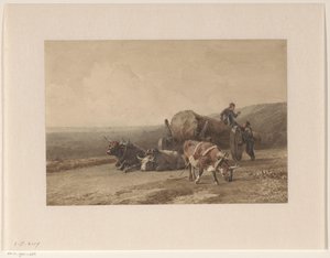 Resting Oxen by Jan Bedijs Tom