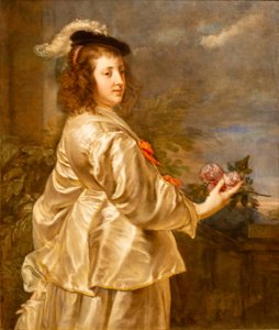 Young Woman in a Silk Dress