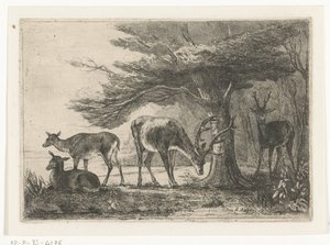 Forest Edge with Deer