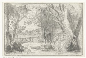 Park Landscape with Deer by Jan Bos Wz.