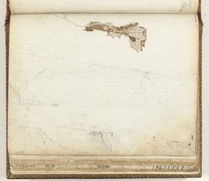 Bay of Saint Helena, Dried Leaf by Jan Brandes