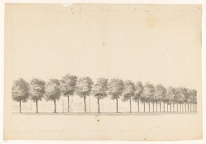 Tree Avenue in Batavia by Jan Brandes