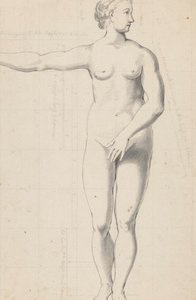 Nude Studies of Woman and Man